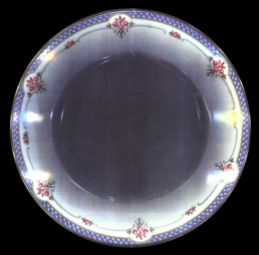 BER278 Dinner Plate by Bernardaud-1