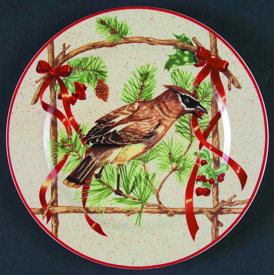 Festive Ribbon Salad/Dessert Plate by Block-1