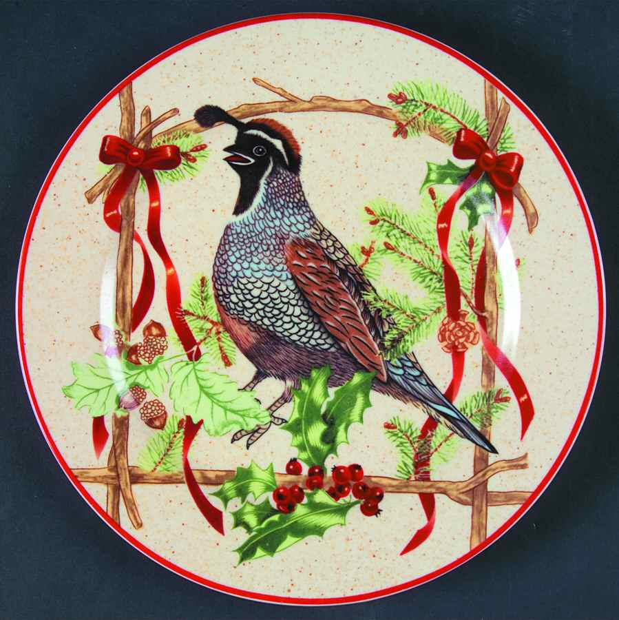Festive Ribbon Salad/Dessert Plate by Block-1