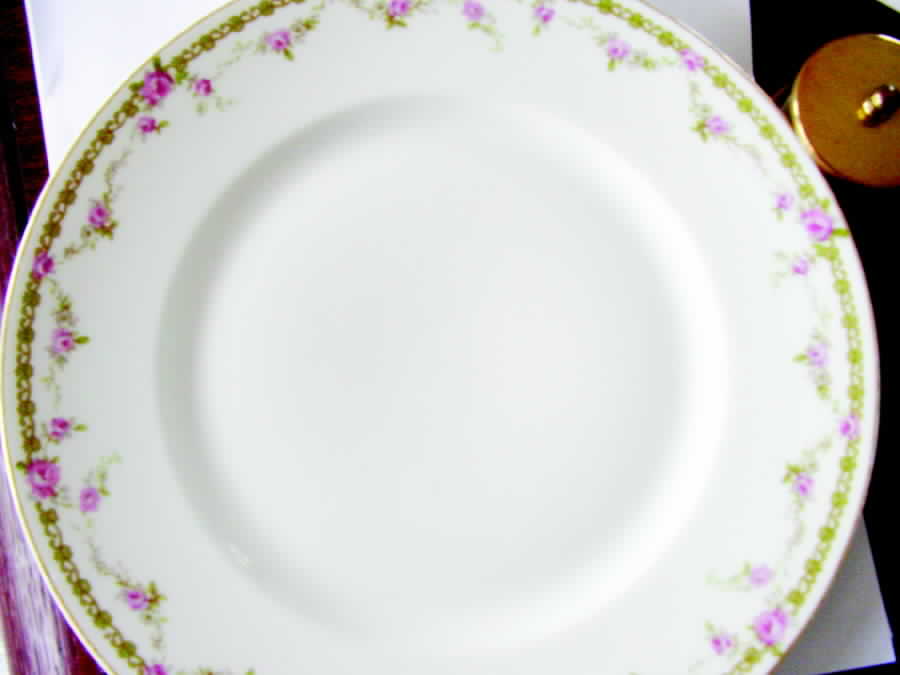 BER347 Dinner Plate by Bernardaud-1
