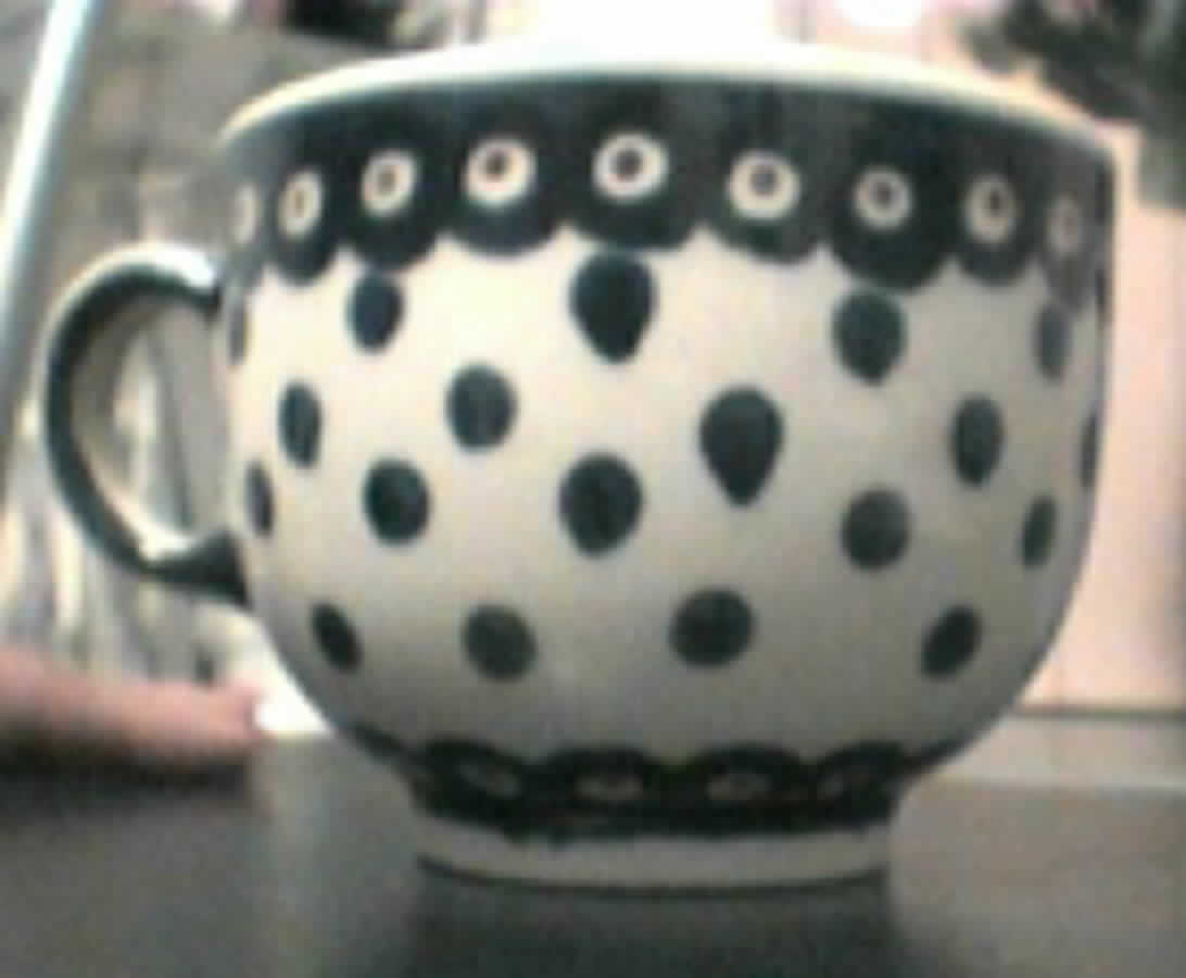 BOW1 Flat Cup by BOLESLAWIEC-1
