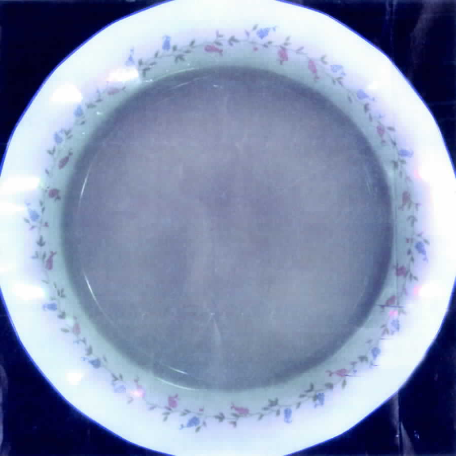 Meadow Dinner Plate by Belfor-1