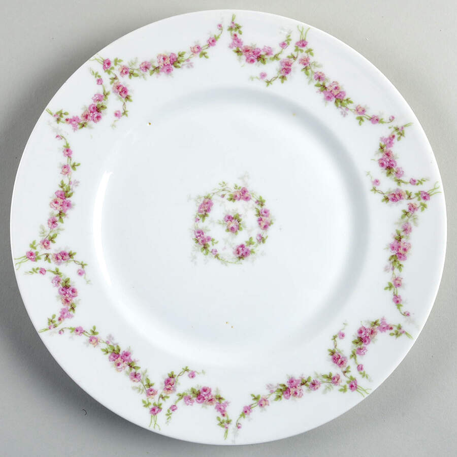 Ber394 Dinner Plate by Bernardaud-1