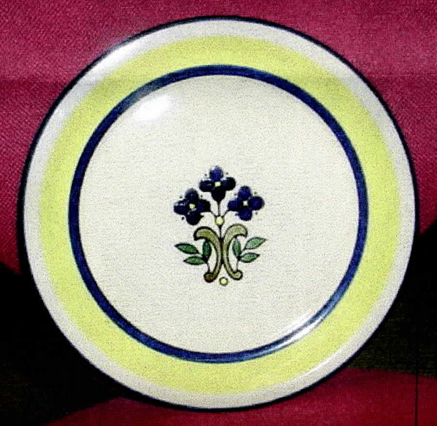 Beh3 Dinner Plate by Berkeley House-1
