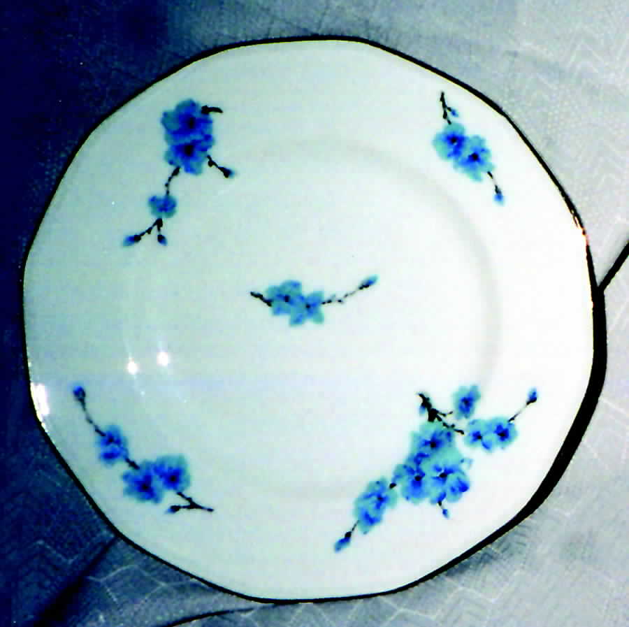 BDF1 Salad Plate by B&D Limoges (France)-1