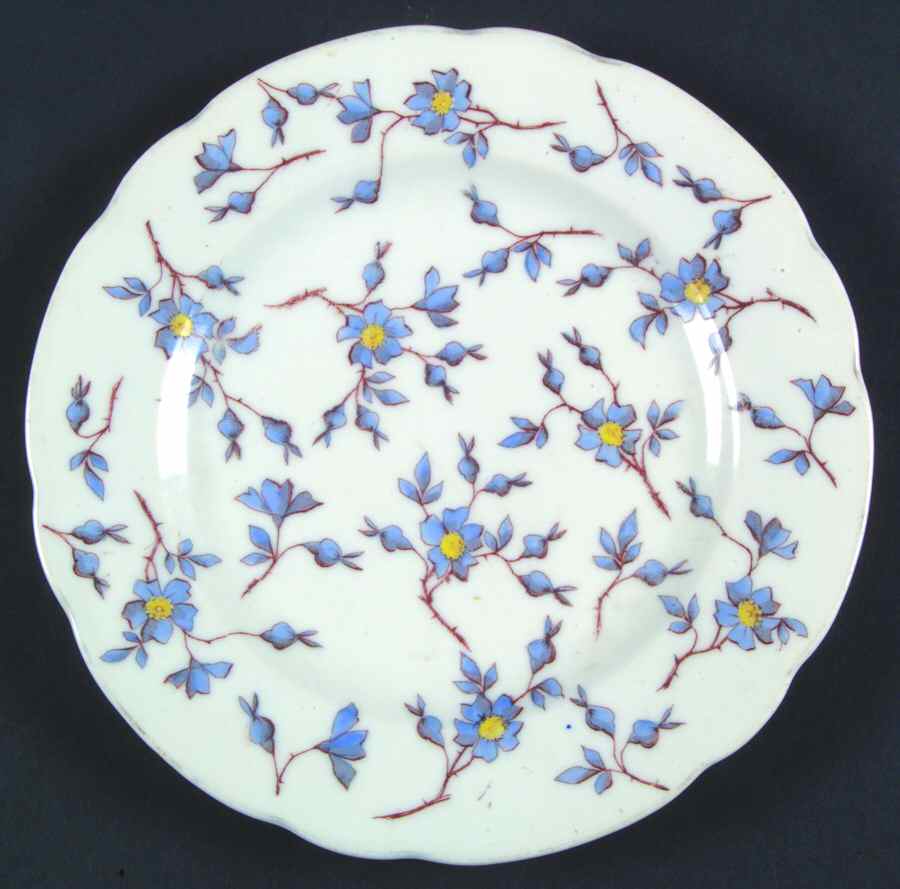 BWD899 Salad Plate by Bawo & Dotter-1