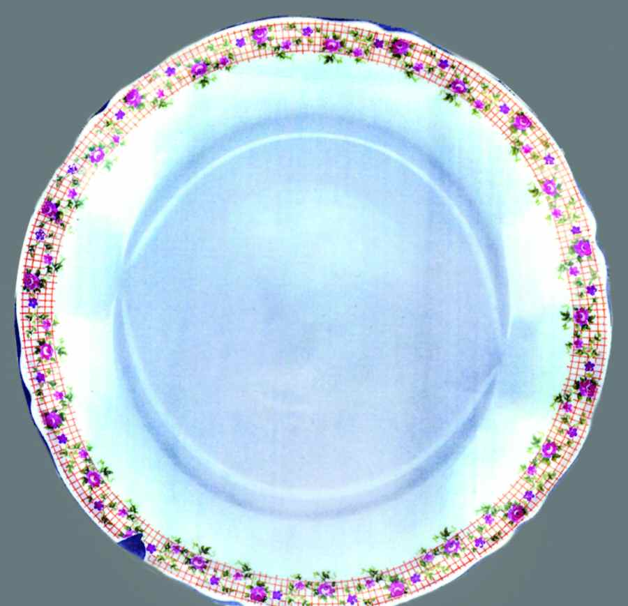 BER454 Dinner Plate by Bernardaud-1