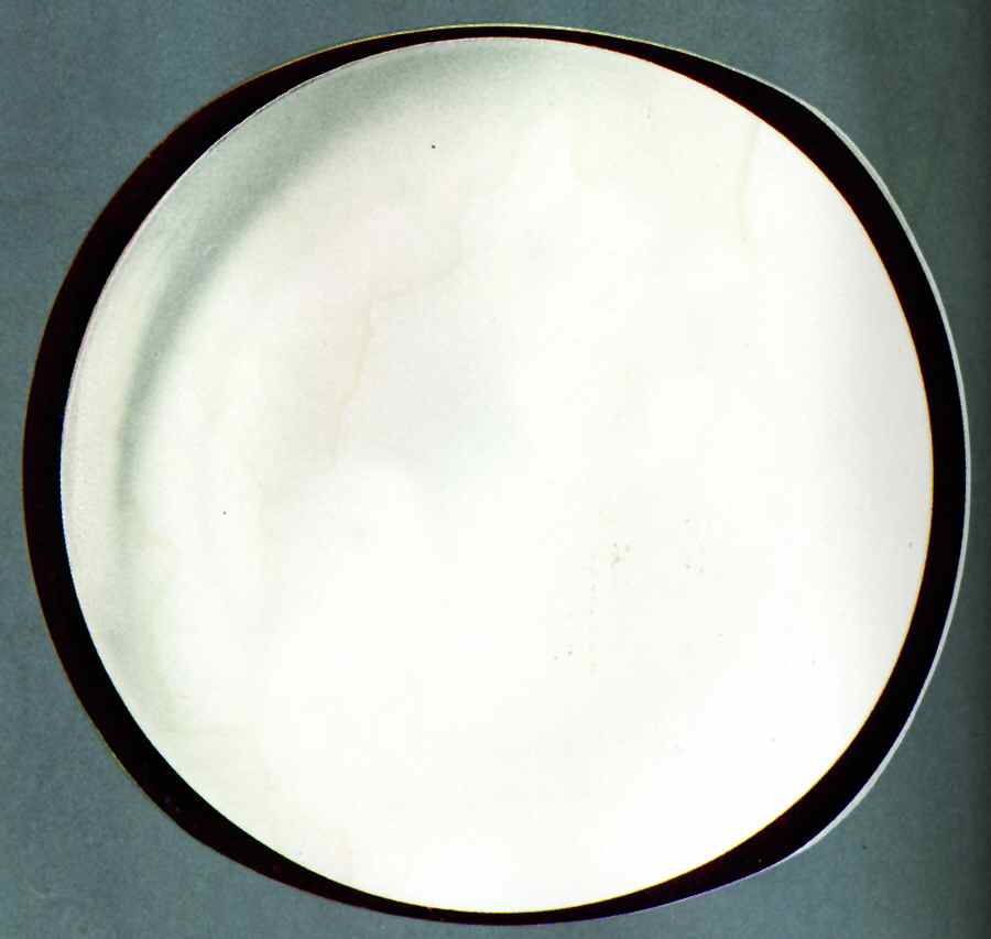 Rio Dinner Plate by Bernardaud-1
