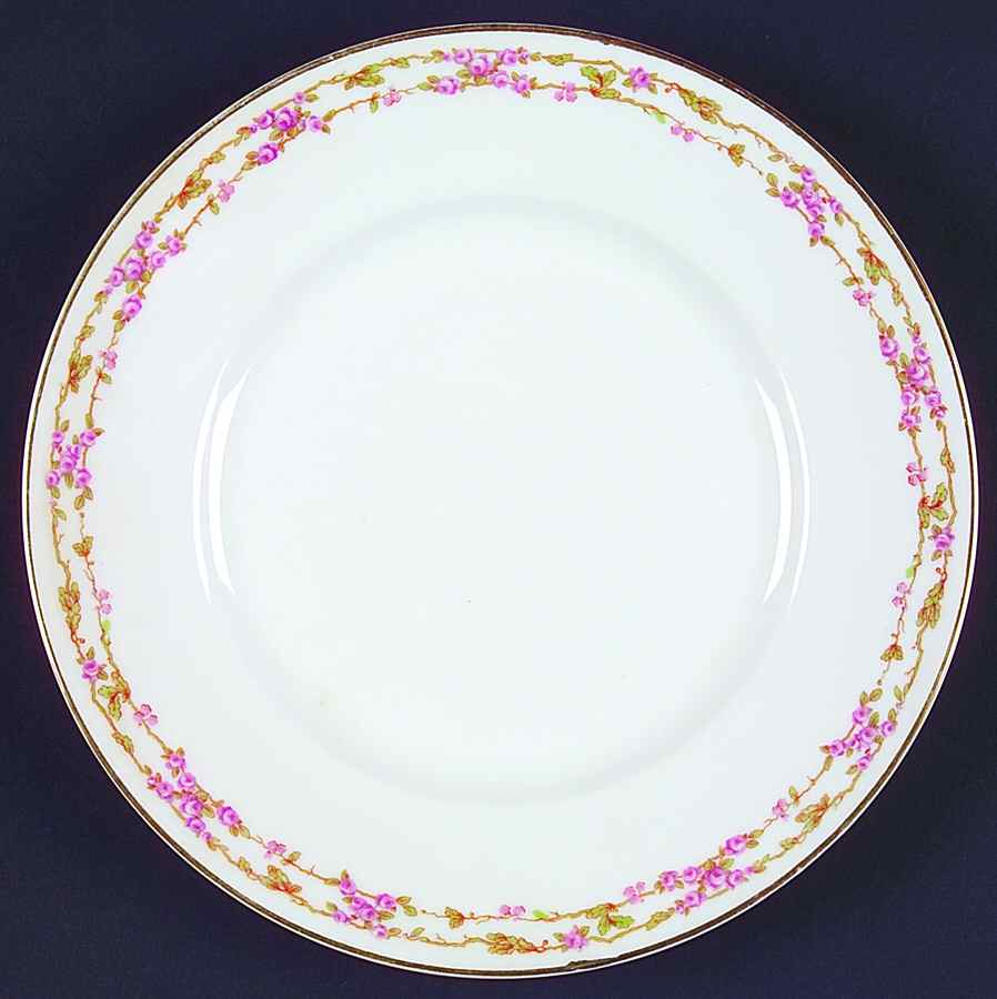 BER485 Dinner Plate by Bernardaud-1