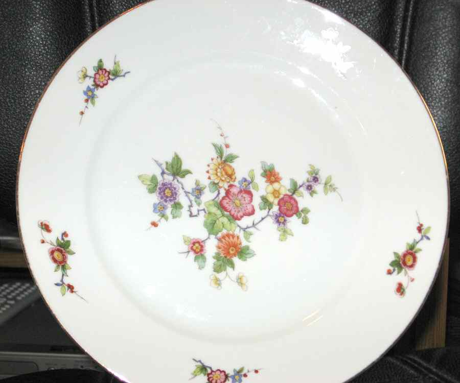 BOH213 Dinner Plate by Bohemia Ceramic Works-1
