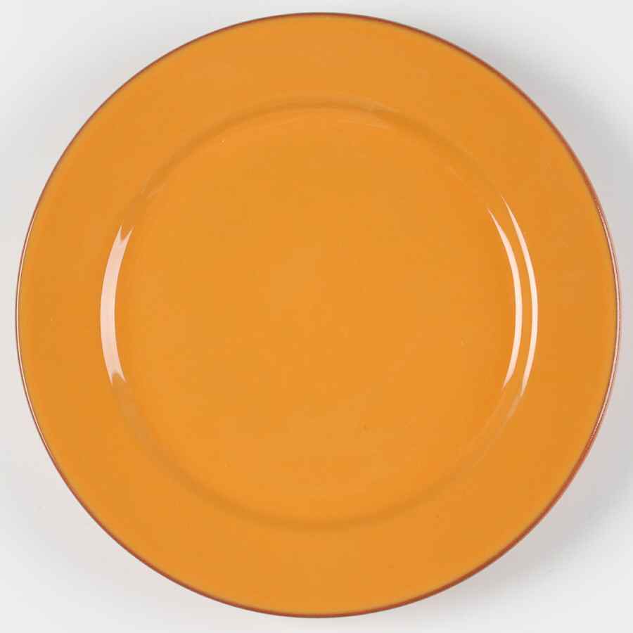 Plancha Dinner Plate by Bobby Flay-1