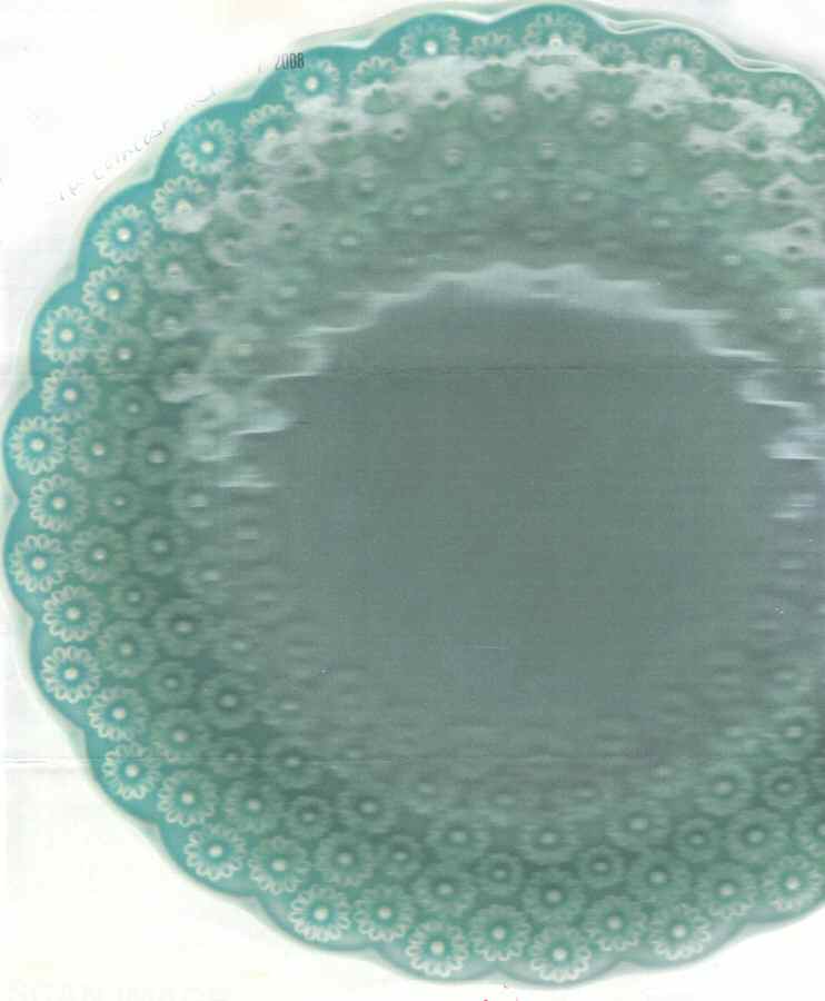 BPI56 Dinner Plate by Bordallo Pinheiro-1