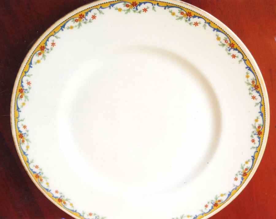Osborne Dinner Plate by Bernardaud-1