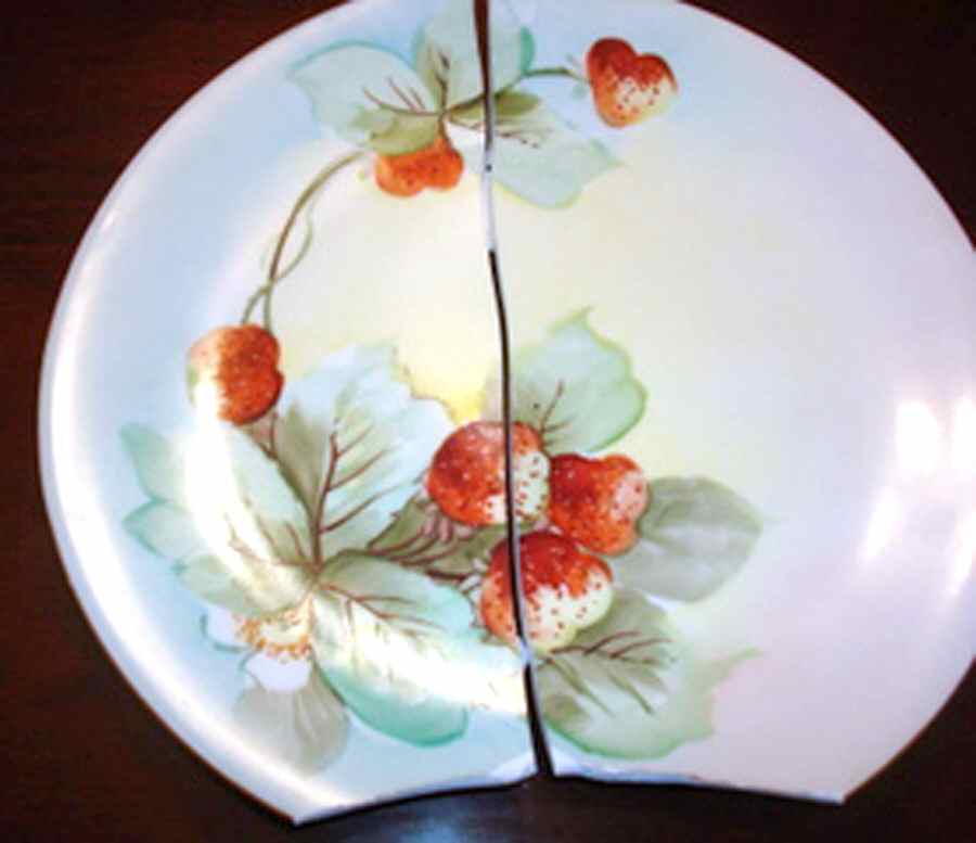 BER588 Dessert/Pie Plate by Bernardaud-1