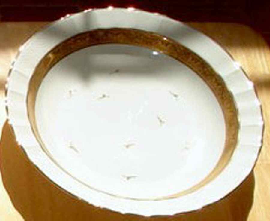 BER599 Rim Soup Bowl by Bernardaud-1
