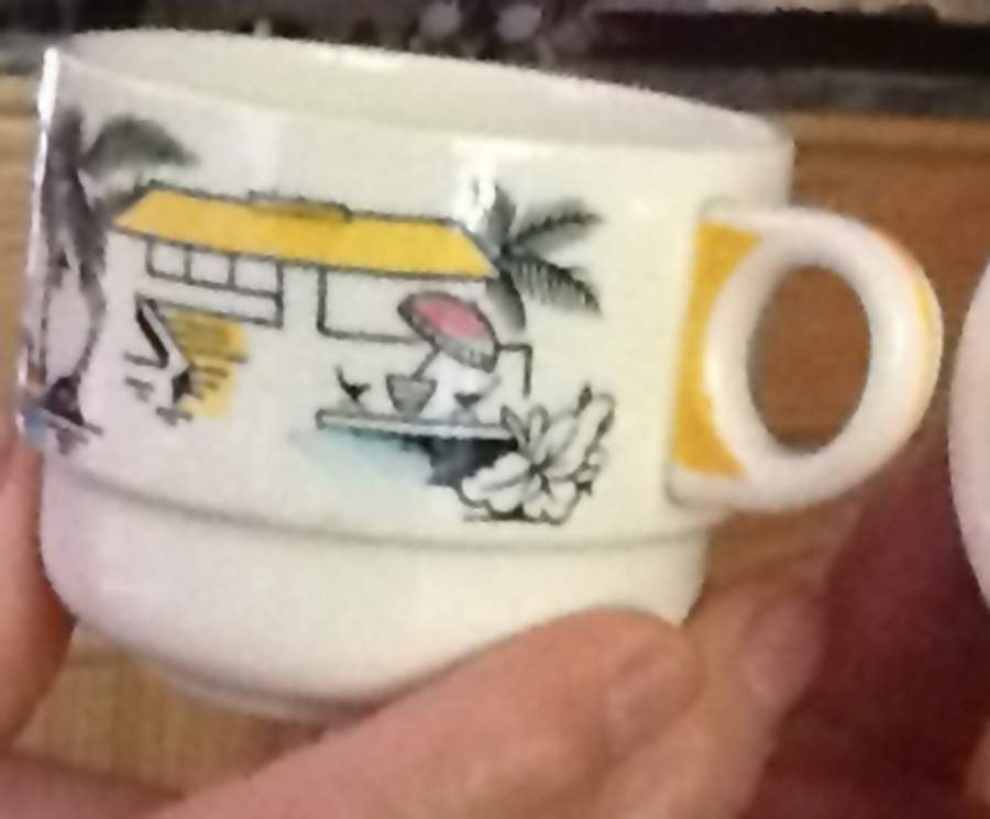 South Pacific Flat Cup by Brexton (England)-1