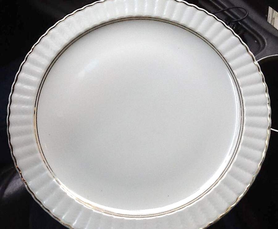 BER665 Dinner Plate by Bernardaud-1