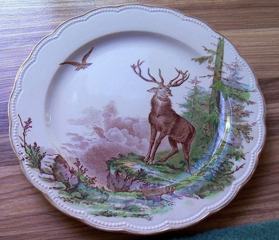Sylvan-Multicolor Dinner Plate by Brownfield-1