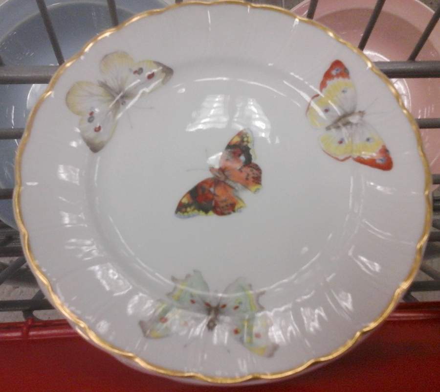 Butterfly (Scalloped) Bread & Butter Plate by Bernardaud-1