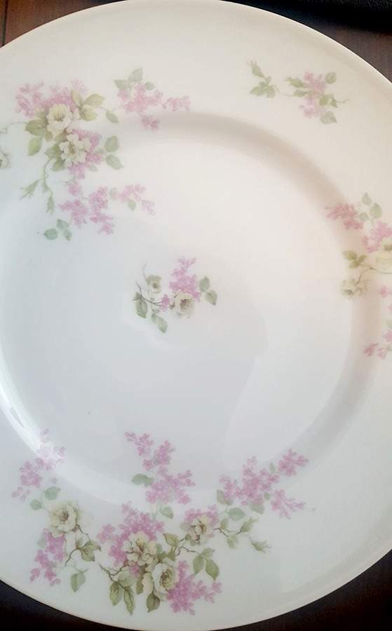 BER713 Dinner Plate by Bernardaud-1