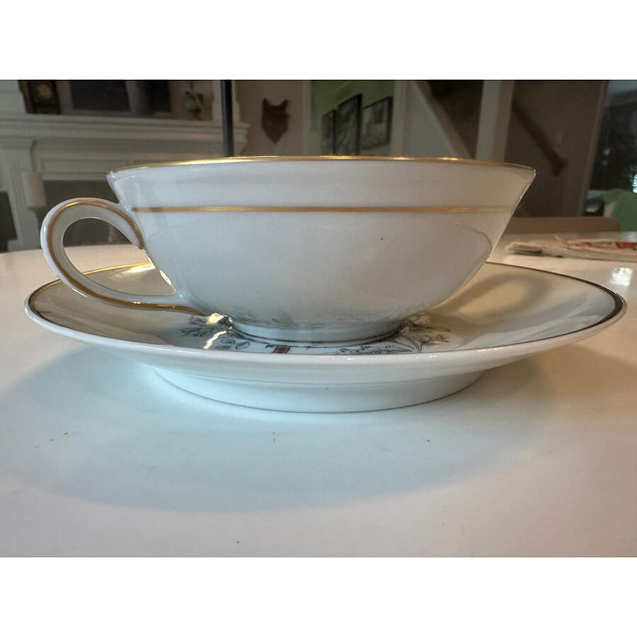 Oiseaux des Iles Flat Cream Soup Bowl & Saucer Set by Bernardaud-1