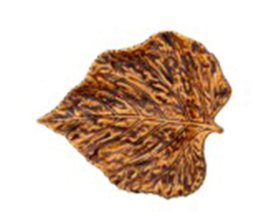 Gudrun Leaf Shaped Wall Plate by Bordallo Pinheiro-1