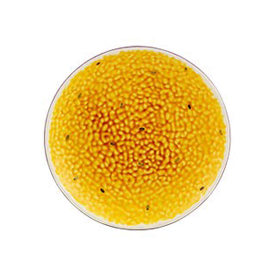 Tropical Fruits Salad/Dessert Plate by Bordallo Pinheiro-1