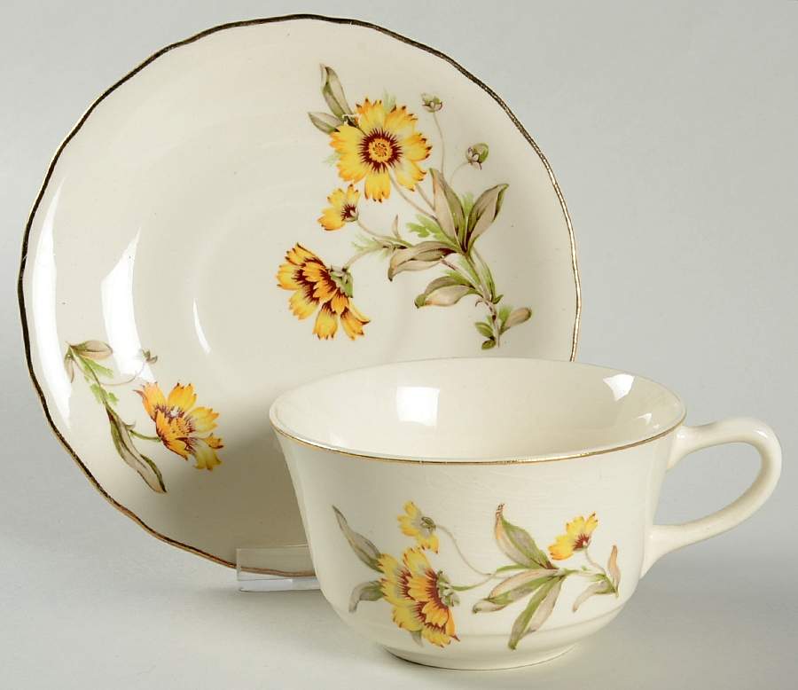 Autumn Mist Flat Cup & Saucer Set by Canonsburg-1
