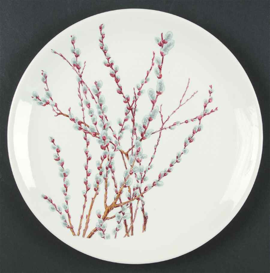 CAN21 Luncheon Plate by Canonsburg-1