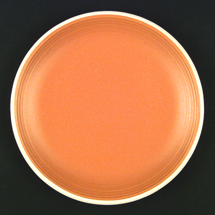 Rio Orange (Solid Orange) Dinner Plate by Century China-1