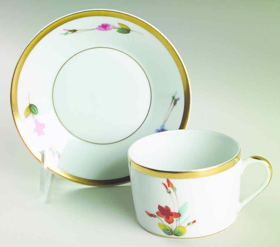 Winterthur Flat Cup & Saucer Set by Charles Field Haviland-1