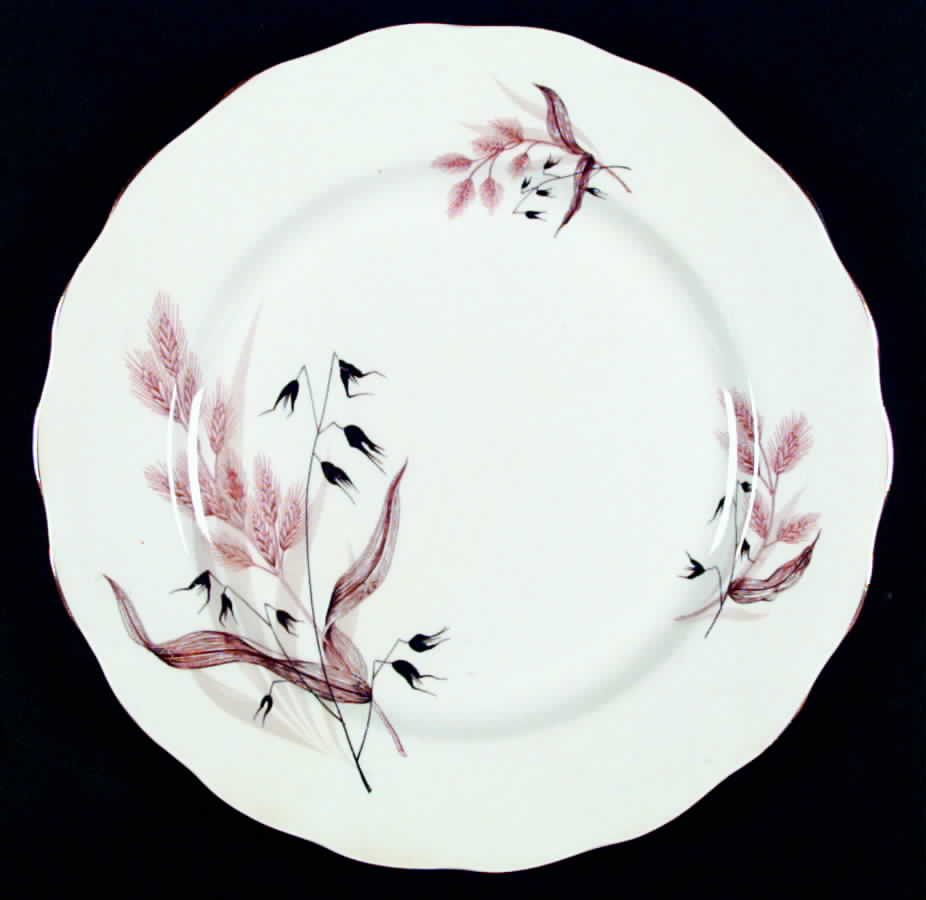 Harvest Dinner Plate by Colclough-1
