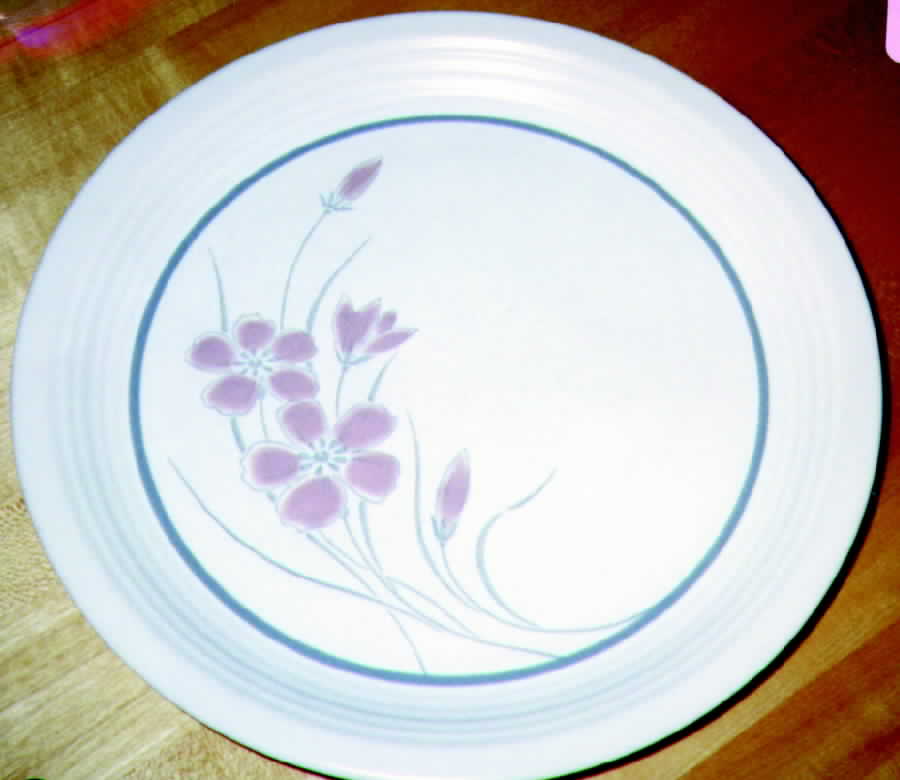 6039 Dinner Plate by The Cellar (China)-1