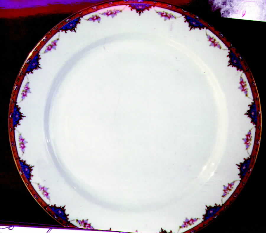 CLT8 Dinner Plate by Carrollton-1