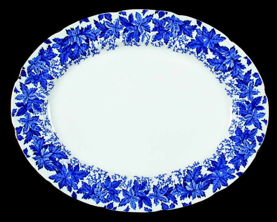 4891-A 14" Oval Serving Platter by Coalport-1