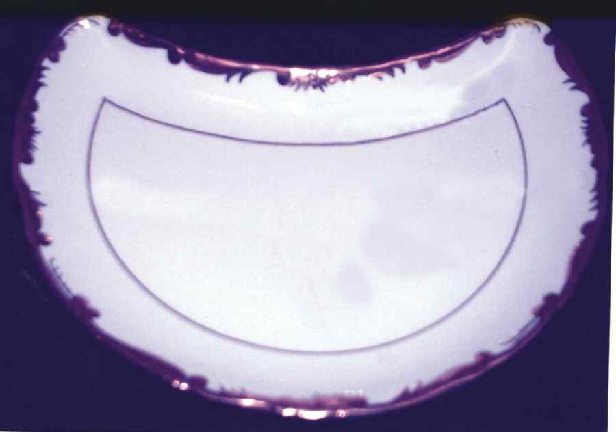 Admiral White and Gold Crescent Salad Plate by Coalport-1