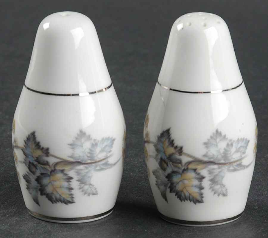 Camelot Salt & Pepper Set by Coalport-1