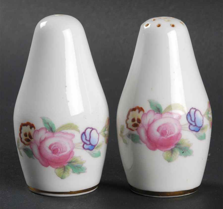 Junetime Salt & Pepper Set by Coalport-1