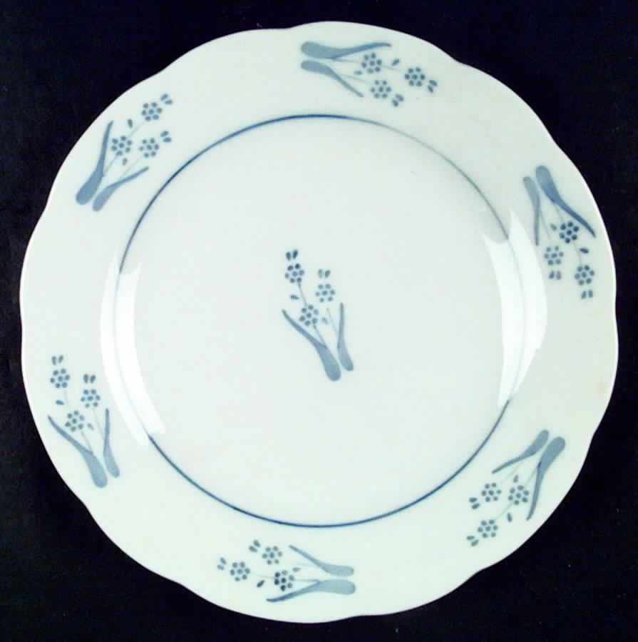 COB6 Dinner Plate by BIA Cordon Bleu-1