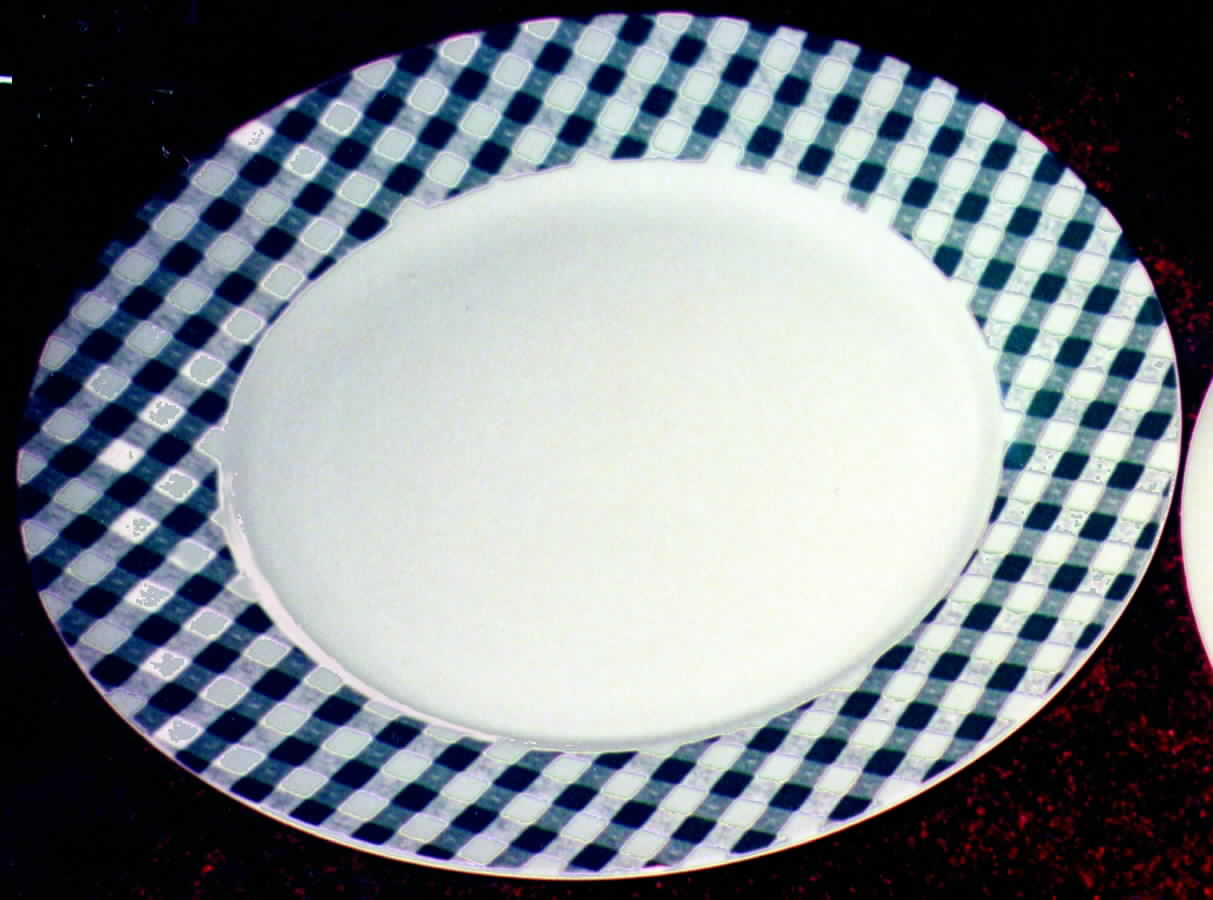 Summertime Dinner Plate by BIA Cordon Bleu-1