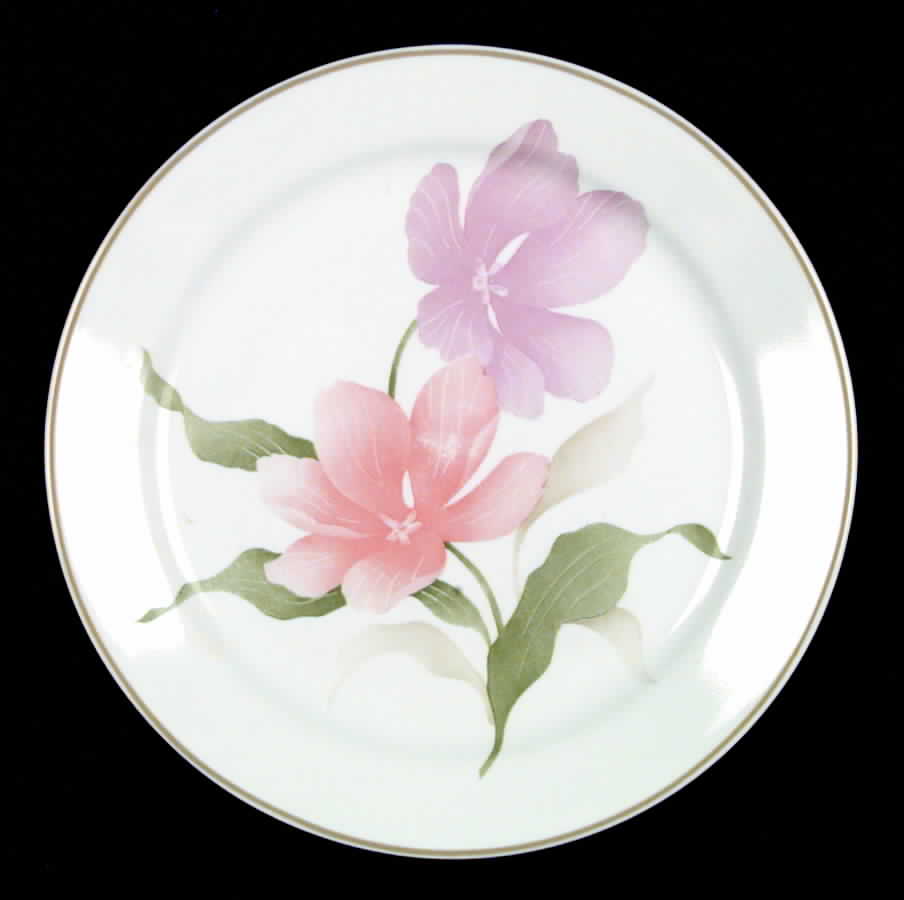 Pacifica (Corelle) Dinner Plate by Corning Corelle-1