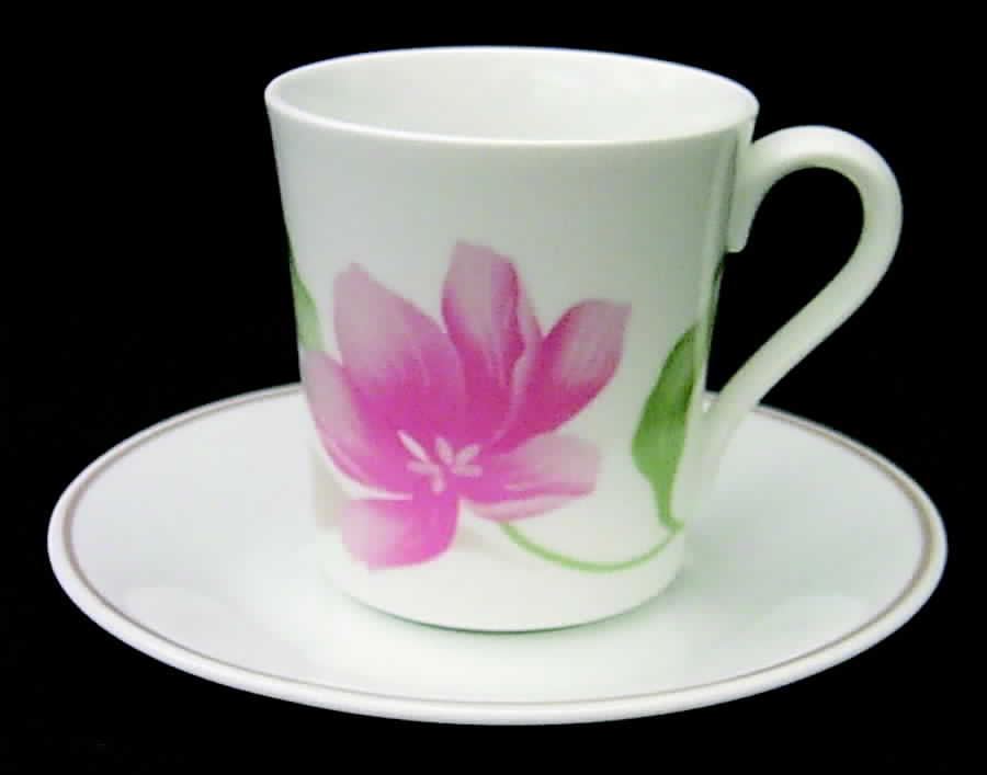 Pacifica (Corelle) Flat Cup & Saucer Set by Corning Corelle-1
