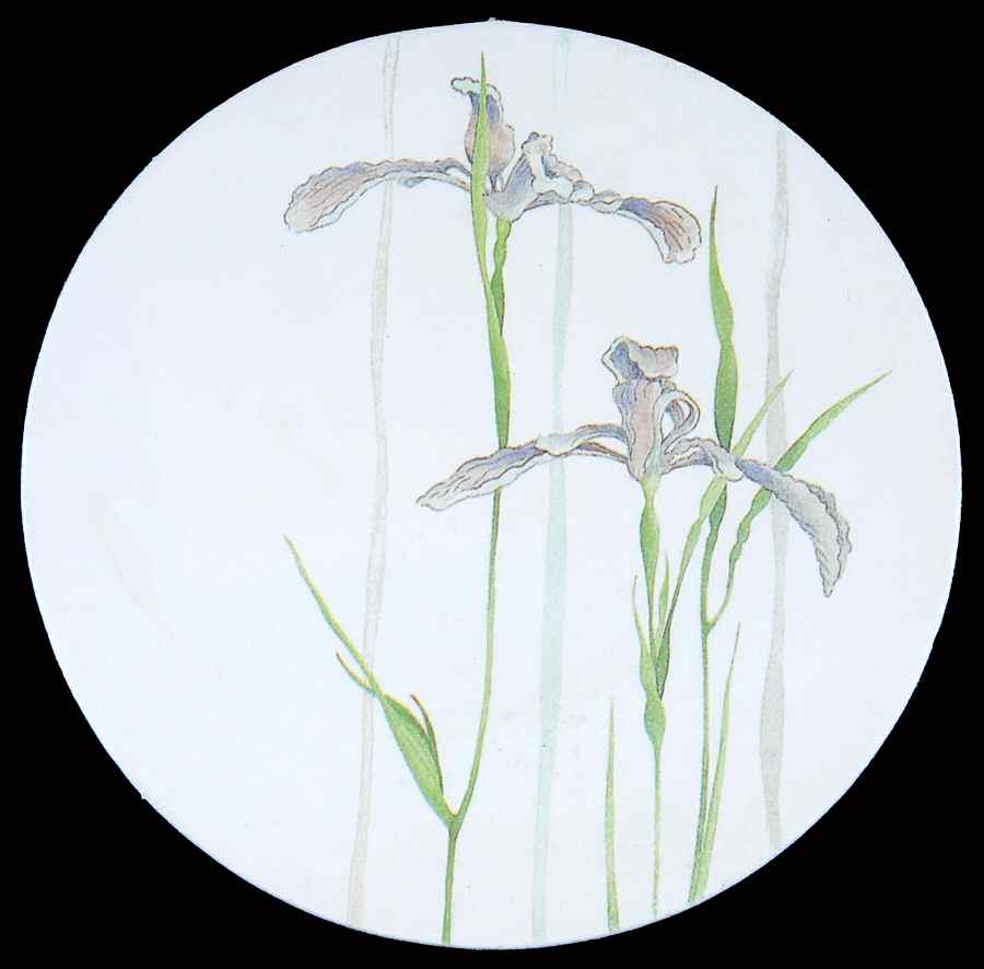 Shadow Iris (Corelle) Vinyl Coaster by Corning Corelle-1