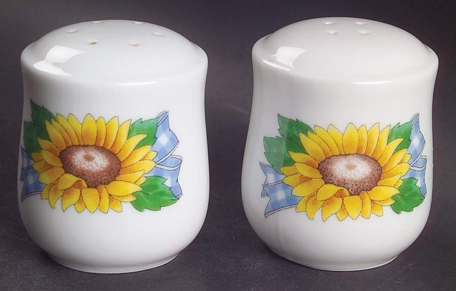 Sunsations (Corelle) Salt & Pepper Set by Corning Corelle-1