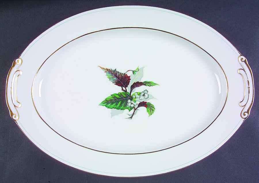 Imperial 16" Oval Serving Platter by Craftsman (Japan)-1
