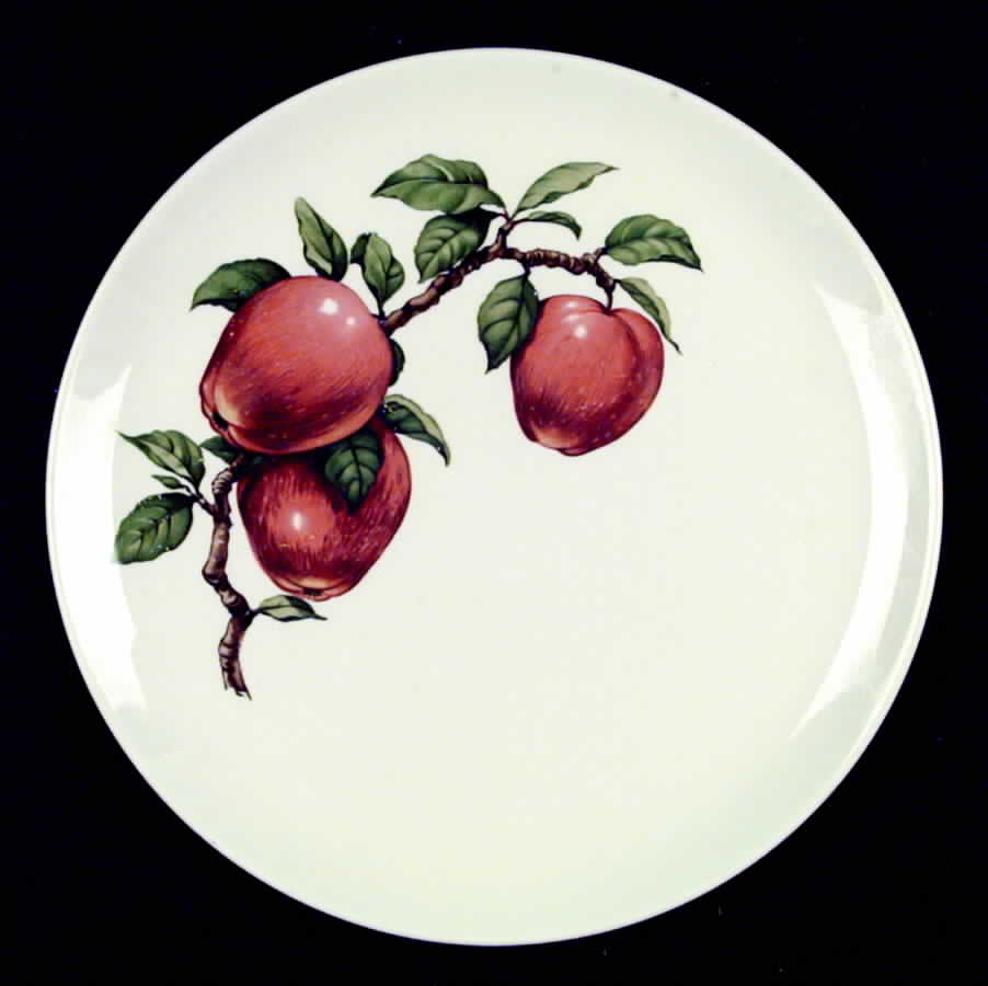 CRO27 Dinner Plate by Crooksville-1