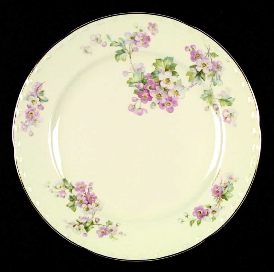 CRO5 Dinner Plate by Crooksville-1