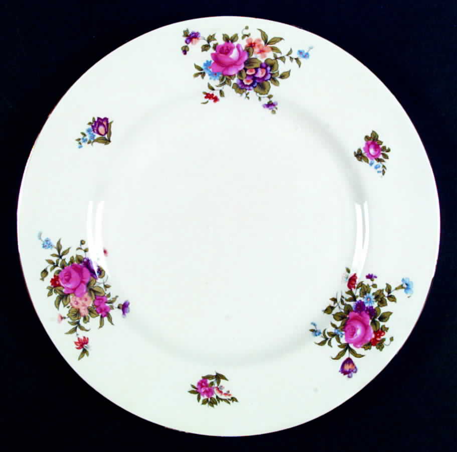 Dresden Spray Dinner Plate by Crown Staffordshire-1