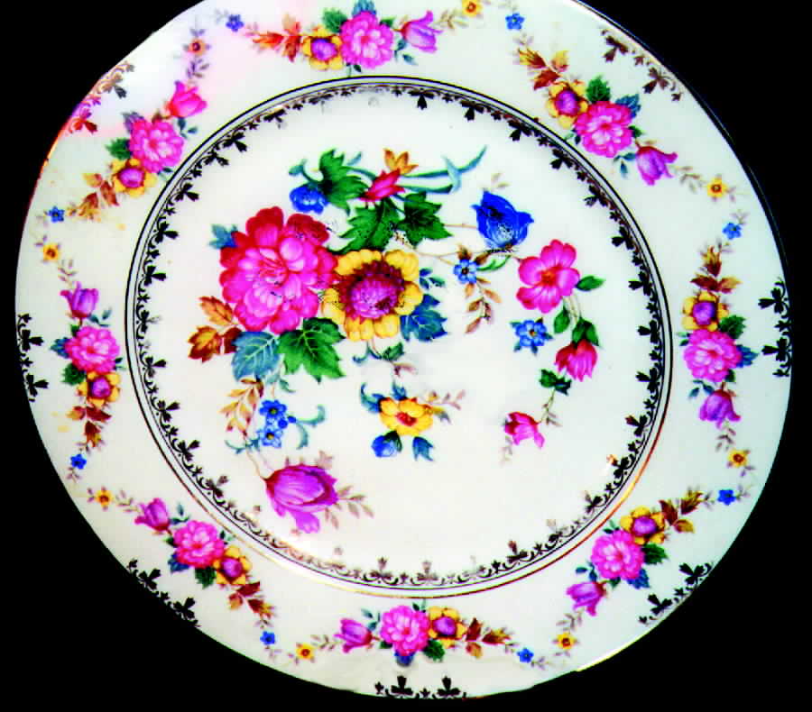 CZE29 Dinner Plate by Czechia-Czechoslovakia-1