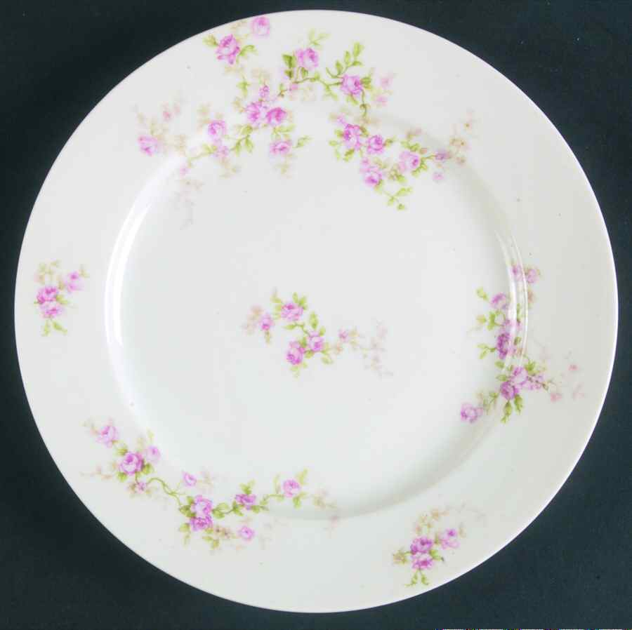 CHF355 Salad Plate by Charles Field Haviland-1